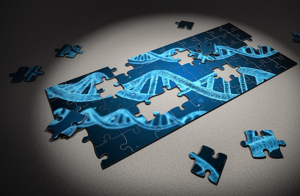 記事:新たな遺伝子組換え表示制度が4月1日より施行のイメージ画像