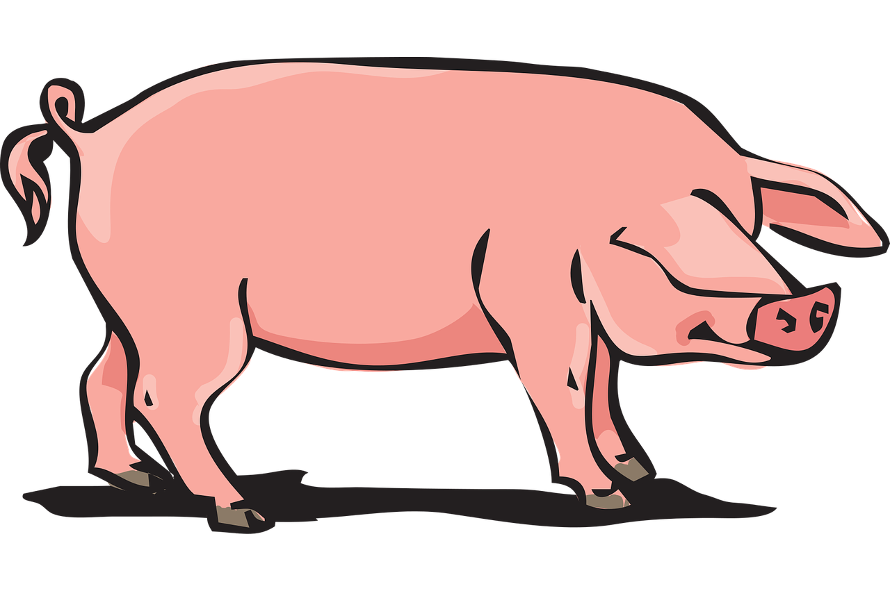 記事:寿食品、学校給食用の豚肉の産地偽装疑いで家宅捜索のイメージ画像